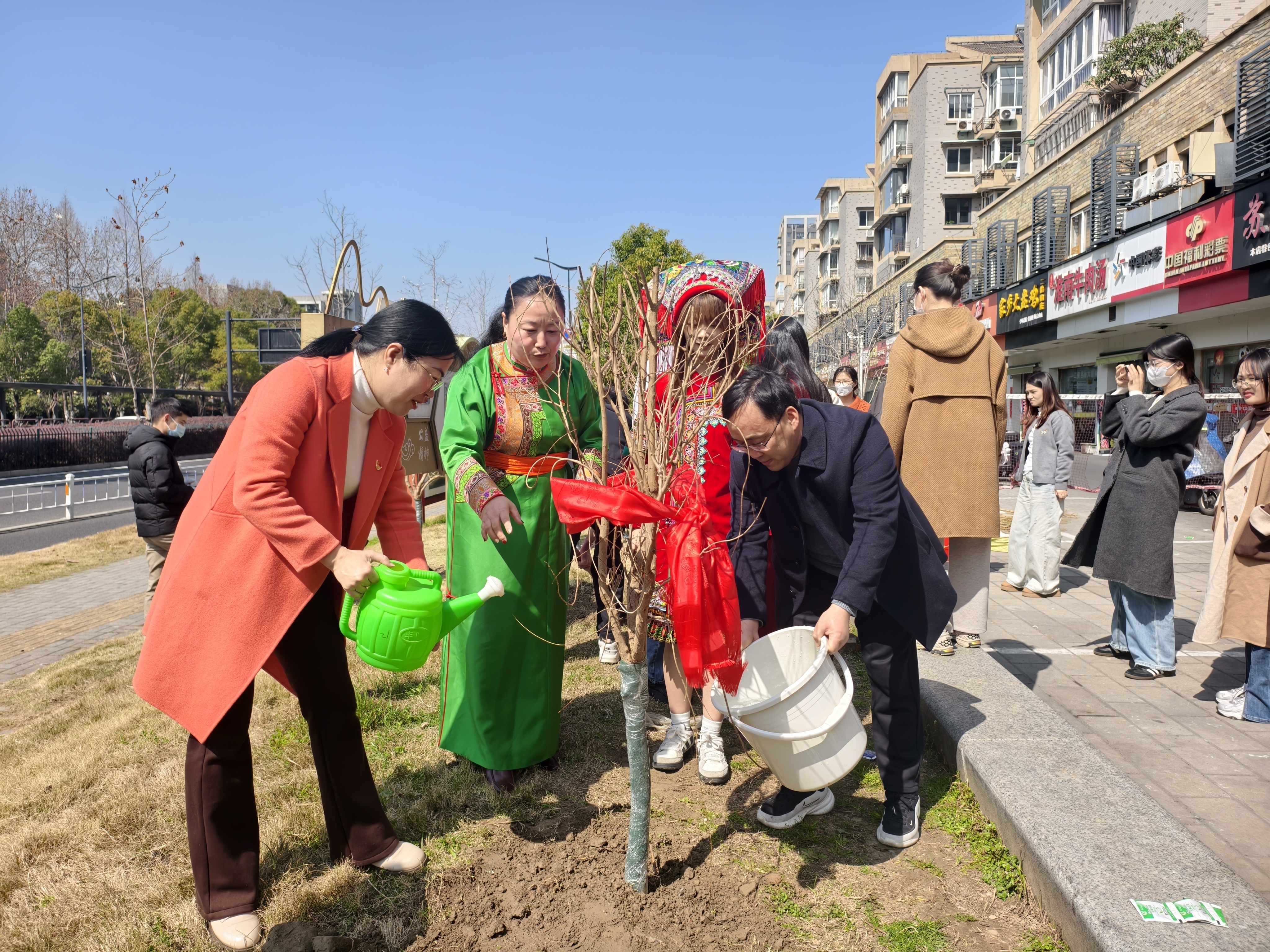 IMG_20260310_132423.jpg IMG_20260310_132423.jpg