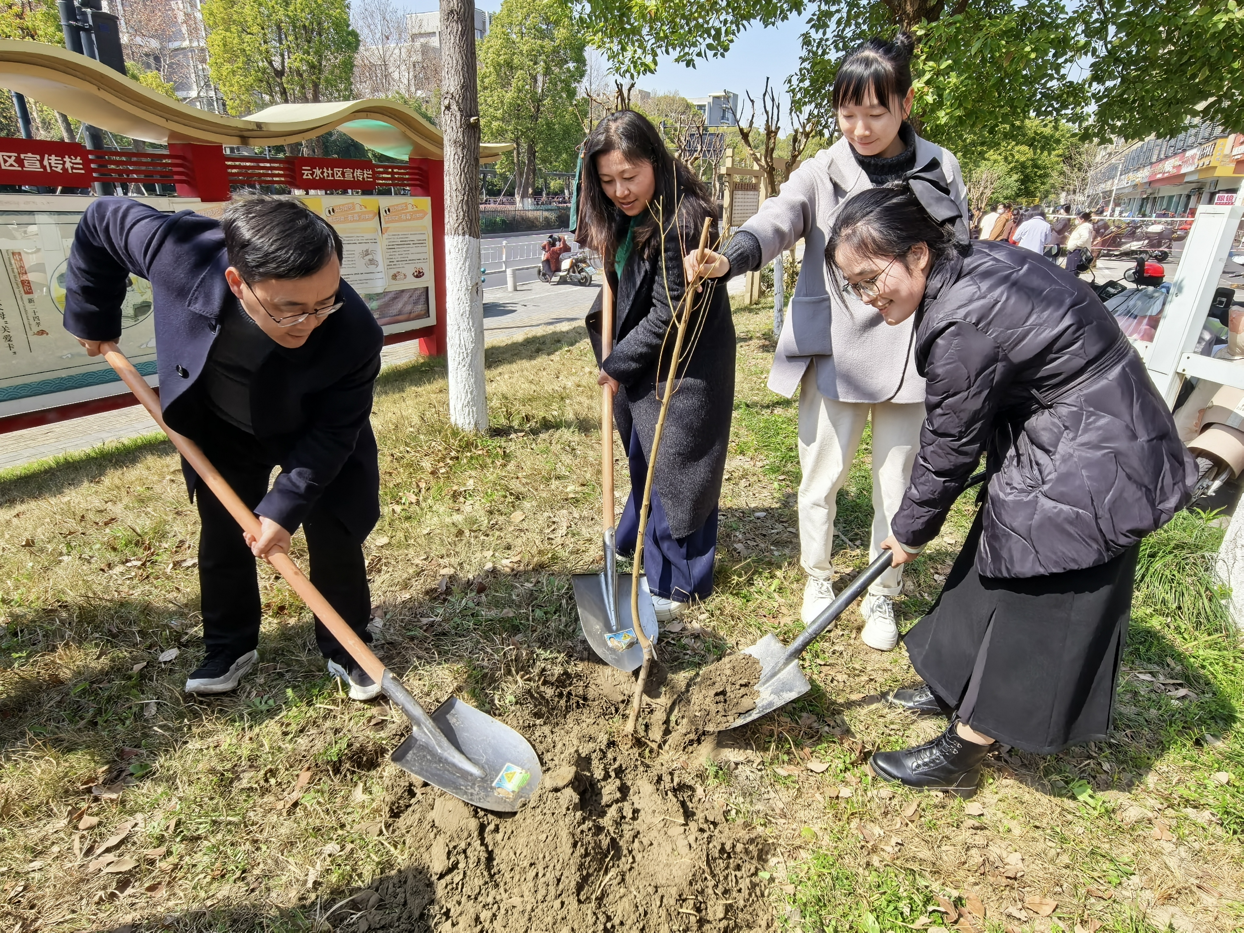 IMG_20260310_133154.jpg IMG_20260310_133154.jpg