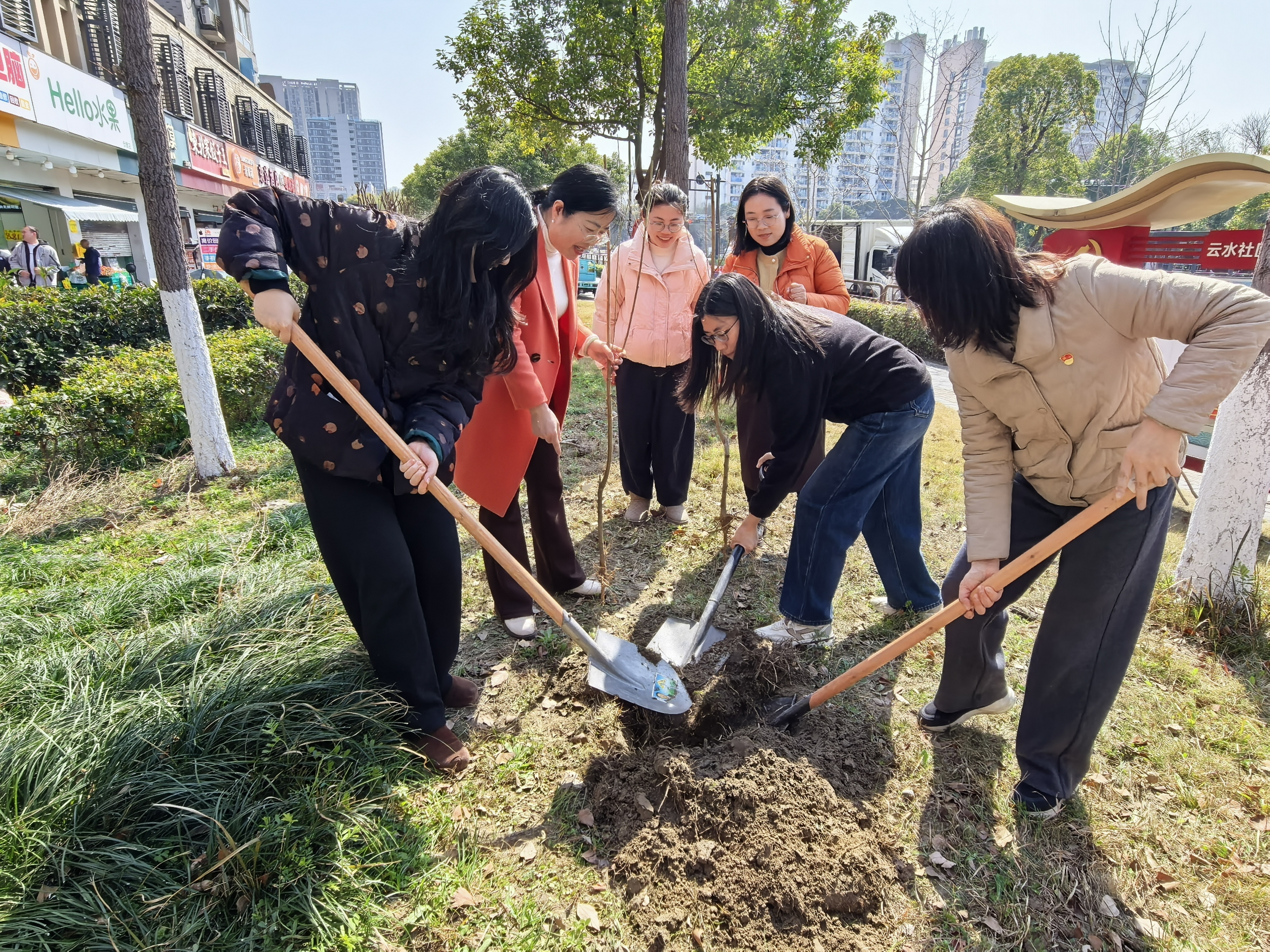 IMG_20260310_133250.jpg IMG_20260310_133250.jpg